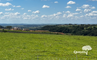 Dicas para não errar na compra do seu terreno